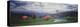 Hot Air Balloons, Snowmass, Colorado, USA-null-Premier Image Canvas