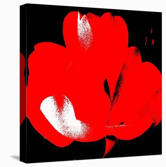 Hot Bloom I-Herb Dickinson-Premier Image Canvas