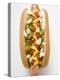 Hot Dog with Relish, Mustard, Ketchup and Onions-null-Premier Image Canvas