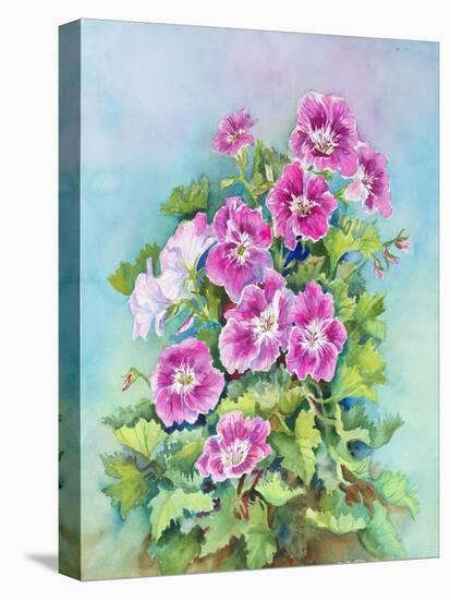 Hot Pink Blush Geraniums-Joanne Porter-Premier Image Canvas