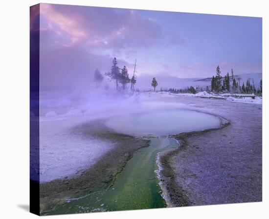 Hot spring, Upper Geyser Basin, Yellowstone National Park, Wyoming-Tim Fitzharris-Stretched Canvas