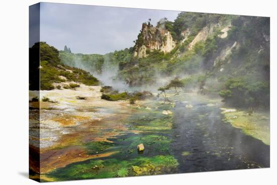 Hot Springs, Waimangu Volcanic Valley, Rotorua, Bay of Plenty, North Island, New Zealand-Rainer Mirau-Premier Image Canvas