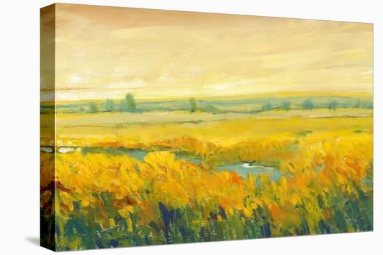 Hot Summer Day II-Tim O'toole-Stretched Canvas