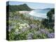 Hot Water Beach, Coromandel Peninsula, South Auckland, North Island, New Zealand-Ken Gillham-Premier Image Canvas