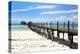 Hotel Jetty, Bwejuu Beach, Zanzibar, Tanzania, Indian Ocean, East Africa, Africa-Peter Richardson-Premier Image Canvas