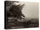 Hothfield Common and West Ashford Workhouse, Kent-Peter Higginbotham-Premier Image Canvas