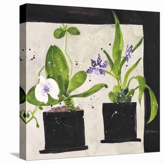 Hothouse Orchids I-Susan Brown-Stretched Canvas