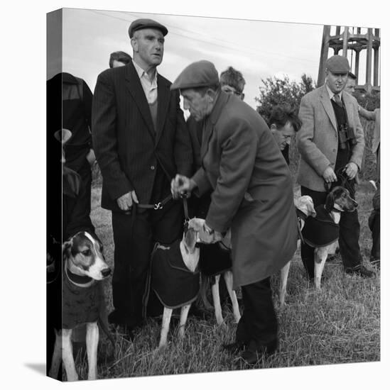 Hound Trailing, One of Cumbrias Oldest and Most Popular Sports, Keswick, 2nd July 1962-Michael Walters-Premier Image Canvas