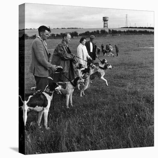 Hound Trailing, One of Cumbrias Oldest and Most Popular Sports, Keswick, 2nd July 1962-Michael Walters-Stretched Canvas