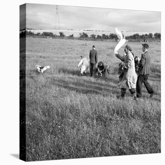 Hound Trailing, One of Cumbrias Oldest and Most Popular Sports, Keswick, 2nd July 1962-Michael Walters-Stretched Canvas