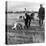 Hound Trailing, One of Cumbrias Oldest and Most Popular Sports, Keswick, 2nd July 1962-Michael Walters-Premier Image Canvas