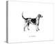 Hound-The Chelsea Collection-Stretched Canvas