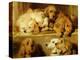 Hounds in a Kennel-Edwin Henry Landseer-Premier Image Canvas