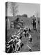 Hounds on a Fox Hunt-Peter Stackpole-Premier Image Canvas