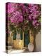 House Covered in Bougainvillea, Paxos, the Ionian Islands, Greek Islands, Greece, Europe-Neil Farrin-Premier Image Canvas