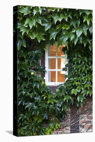 House, Detail, Window, Covered-Nora Frei-Premier Image Canvas