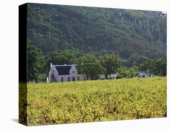 House in the Wine Growing Area of Franschhoek, Cape Province, South Africa, Africa-Yadid Levy-Premier Image Canvas