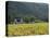 House in the Wine Growing Area of Franschhoek, Cape Province, South Africa, Africa-Yadid Levy-Premier Image Canvas