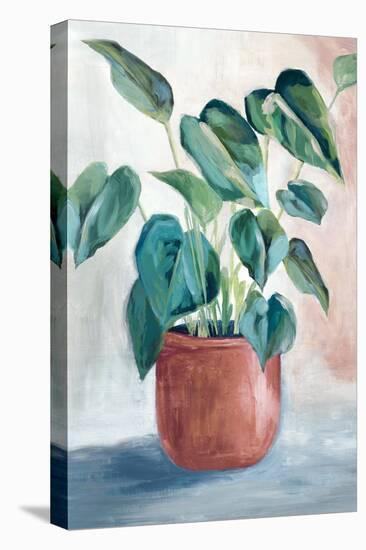 House Plant-Alex Black-Stretched Canvas