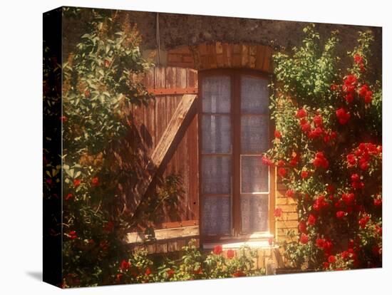 House with Summer Roses in Bloom, Vaucluse, France-Walter Bibikow-Premier Image Canvas