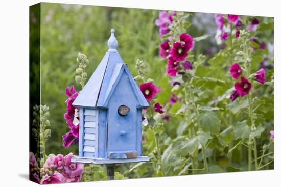 House Wren at Blue Nest Box Near Hollyhocks. Marion, Illinois, Usa-Richard ans Susan Day-Premier Image Canvas