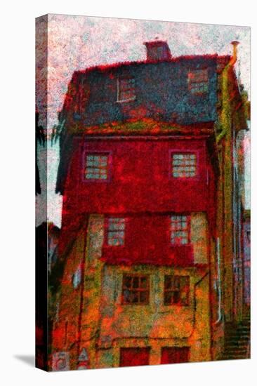 House-Andr? Burian-Premier Image Canvas