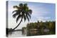 Houseboat, Backwaters, Alappuzha or Alleppey, Kerala, India-Peter Adams-Premier Image Canvas