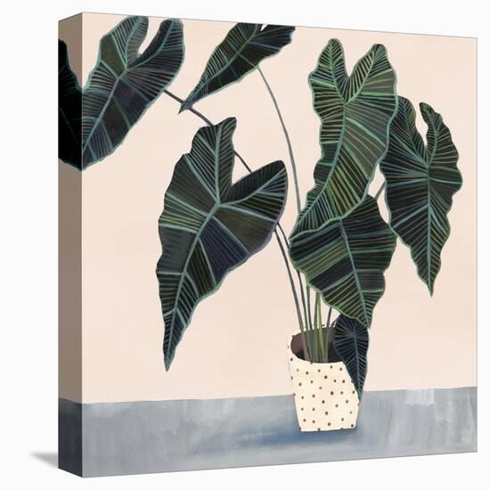 Houseplant II-null-Stretched Canvas