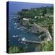 Houses and Rocky Coastline in the South of the Island of Sao Miguel in the Azores, Portugal-David Lomax-Premier Image Canvas