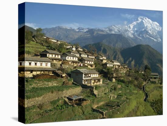 Houses and Terraced Fields at Gurung Village, Ghandrung, with Annapurna South, Himalayas, Nepal-Waltham Tony-Premier Image Canvas