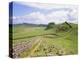 Housesteads, Hadrian's Wall, Northumberland, England, UK-Roy Rainford-Premier Image Canvas