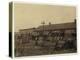 Housing for About 50 Employees of Maggioni Canning Co.-Lewis Wickes Hine-Premier Image Canvas