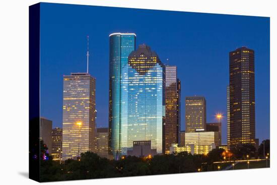 Houston Skyline at Night from Eleanor Tinsley Park, Texas, United States of America, North America-Kav Dadfar-Premier Image Canvas