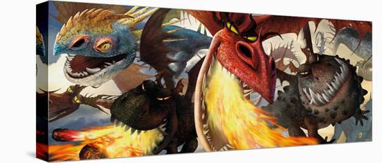 How to Train Your Dragon: Dragon's-null-Stretched Canvas