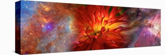 Hubble Galaxy with Red Chrysanthemums-null-Premier Image Canvas