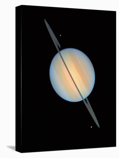 Hubble Image of Saturn-null-Premier Image Canvas