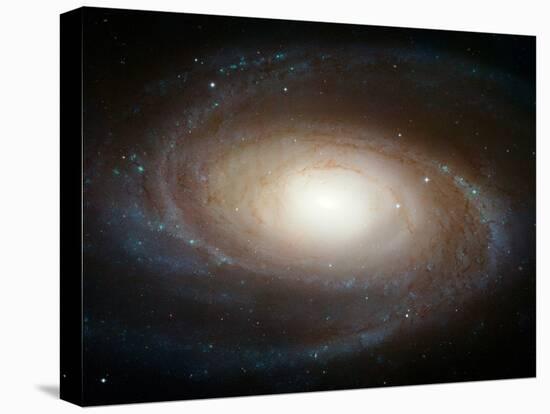Hubble Photographs Grand Design Spiral Galaxy M81 Space Photo Art Poster Print-null-Stretched Canvas