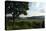 Hudson Highlands Tree Boscobell-Robert Goldwitz-Premier Image Canvas