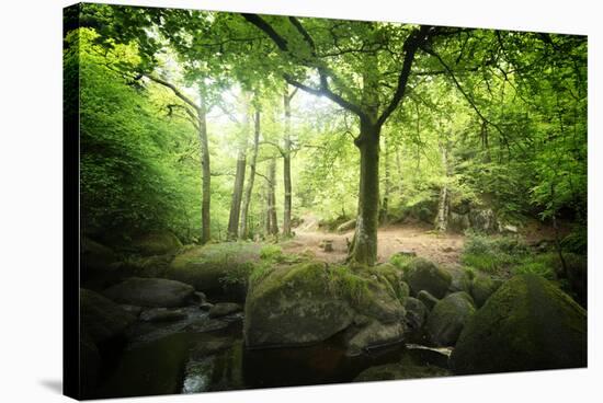 Huelgoat Forest Bretagne-Philippe Manguin-Stretched Canvas