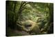 Huelgoat Forest In Brittany-Philippe Manguin-Premier Image Canvas