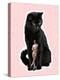 Huge Black Cat and Tiny Stylish Man, Dude Standing near Pet. Contemporary Art Collage, Modern Desig-master1305-Premier Image Canvas