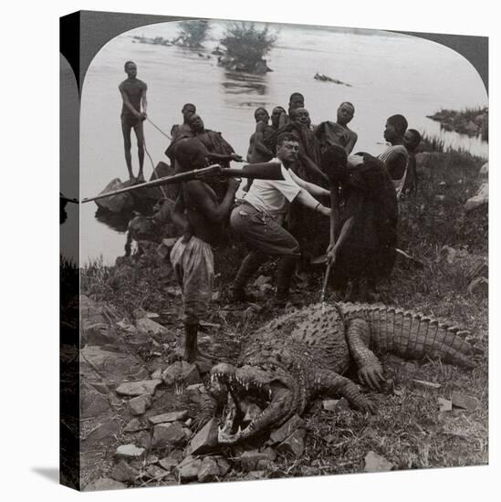 Huge Crocodile Just Landed - Beside the Upper Nile, East Africa, c.1905-Underwood & Underwood-Premier Image Canvas