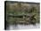 Huge Nile Crocodiles Bask on the Banks of the Victoria Nile Below Murchison Falls-Nigel Pavitt-Premier Image Canvas