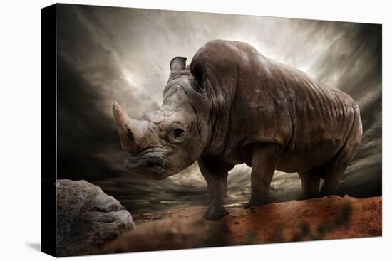 Huge Rhinoceros Against Stormy Sky-NejroN Photo-Premier Image Canvas