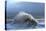 Huge Waves Crash Against a Stone Jetty at Criccieth, Gwynedd, Wales, United Kingdom, Europe-Graham Lawrence-Premier Image Canvas