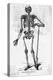 Human Body Skeleton-Bettmann-Premier Image Canvas