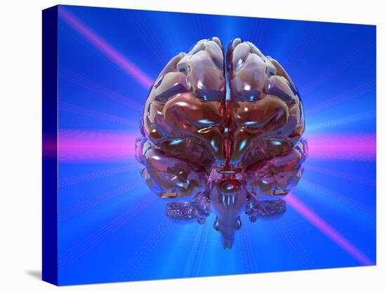 Human Brain And Beams of Light-Laguna Design-Premier Image Canvas