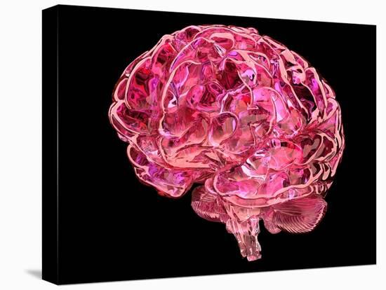 Human Brain, Artwork-Laguna Design-Premier Image Canvas