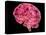 Human Brain, Artwork-Laguna Design-Premier Image Canvas