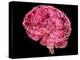 Human Brain, Artwork-Laguna Design-Premier Image Canvas